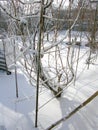 Snow covered rustic garden on a beautiful winter day