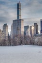 Snow-covered Sheep Meadow - Central Park Royalty Free Stock Photo