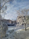 Snow-covered sidewalk on winter evening. Royalty Free Stock Photo