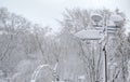 Snow-covered signpost with a lantern on the background of trees in the snow. Royalty Free Stock Photo