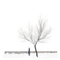 Snow-covered single tree isolated on pure white background with the lonely man Royalty Free Stock Photo