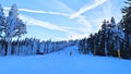 A snow-covered ski and snowboard track equipped with snow cannons and lampposts winds through a spruce forest. There is snow on th