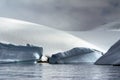 Snow covered slope meeting the sea in Antarctica Royalty Free Stock Photo