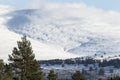 Snow covered slopes of Geal Charn mountain at Glen Feshie in the Highlands of Scotland.