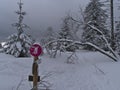 Snow-covered snowshoe hiking path with footprints and trail marking in winter landscape in Black Forest.