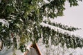 Snow-covered spruce branches hang over the triangular roof of the house