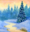 Snow-covered spruce forest