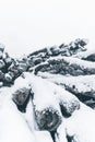 Snow covered stack of pine logs. Vertical layout Royalty Free Stock Photo