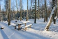 Snow-covered stands and benches in winter snowy forest