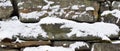 Snow covered stone wall. Texture, background. Royalty Free Stock Photo