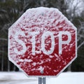 Snow Covered Stop Sign Royalty Free Stock Photo