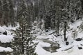 Snow covered stream in Sequoia National Park California Royalty Free Stock Photo