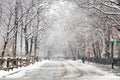 Snow covered street along Washington Square Park in New York City Royalty Free Stock Photo