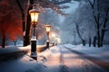 Snow covered street with a charming winter streetlight