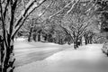 Snow Covered Street has been recently plowed during the Middle of Winter Royalty Free Stock Photo