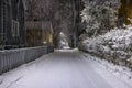 Snow covered street during a heavy overnight snowfall, with streetlights illuminating the falling snowflakes. Royalty Free Stock Photo