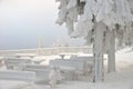 Snow-covered tables and benches under firs in mountains Royalty Free Stock Photo