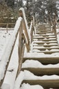 Snow-covered tourist stairs woods Royalty Free Stock Photo