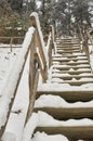 Snow-covered tourist stairs woods