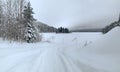 Snow-covered track of snowmobiles among frozen trees overlooks expanse of lake