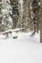 Snow Covered trail for snow shoing Royalty Free Stock Photo