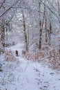 Snow covered forest trail with a wooden footbridge l