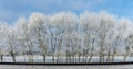 Snow-covered tree branches against the blue sky. Trees are covered with snow and hoarfrost against the blue sky. Royalty Free Stock Photo