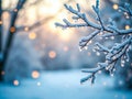 Snow Covered Tree Branches with Icicles Against Soft Bokeh Background for Winter Scene Royalty Free Stock Photo