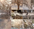 Snow-covered tree branches. Robin in the snow in winter. Winter landscapes with snow. Beautiful winter landscape with snow Royalty Free Stock Photo