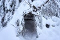 a snow covered tree cave in the black forest