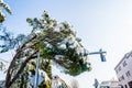 Snow covered tree hangs over the road and damages traffic lights Royalty Free Stock Photo