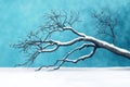 A snow-covered tree stands in front of a blue wall, creating a serene winter scene Royalty Free Stock Photo