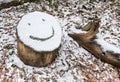 Snow covered tree stump with smiley face emoji Royalty Free Stock Photo