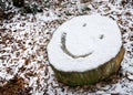 Snow covered tree stump with smiley face emoji Royalty Free Stock Photo