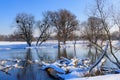 Snow-covered tree trunks lying on the surface of the winter river Royalty Free Stock Photo
