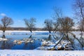 Snow-covered tree trunks lying on the surface of the winter river. Winter landscape Royalty Free Stock Photo