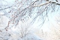 Snow covered tree winter landscape Royalty Free Stock Photo