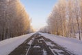 A seasonal road in winter that is lined with snow covered trees in winter. Royalty Free Stock Photo