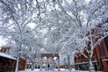 Snow Covered Trees in Ankeny Square Royalty Free Stock Photo