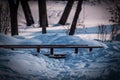 Snow-covered trees and a bridge