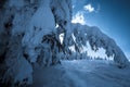 Snow-covered trees in Carpathian Mountains Royalty Free Stock Photo