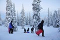 Snow covered trees in Finnish Lapland, it& x27;s still snowing, that& x27;s what you call a forest, we& x27;re going skiing