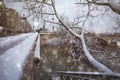 Snow covered trees on flooded Sein river in Paris Royalty Free Stock Photo