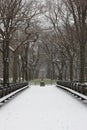 Snow covered trees and lawn in Central Park Royalty Free Stock Photo