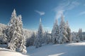 Snow covered trees on the mountain slope Royalty Free Stock Photo