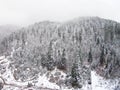 Snow-covered trees in a mountainous area during a fog Royalty Free Stock Photo
