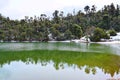 Snow Covered Trees with Reflection in Clean Water of Deoria or Deoriya Tal Lake - Winter Landscape in Himalaya, Uttarakhand, India