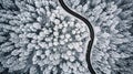 Snow covered trees and road line, aerial drone photo