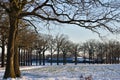 Snow covered trees beside a rural road and open fields in the Netherlands Royalty Free Stock Photo