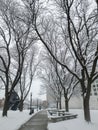 Snow covered trees and shrubs Royalty Free Stock Photo